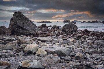 中国农科院蜜蜂研究所老所位置在哪里