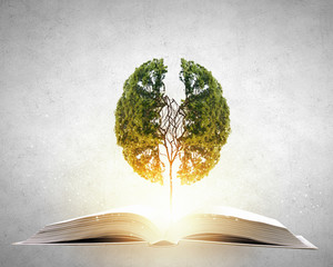 洛神的网络解释洛神的网络解释是什么