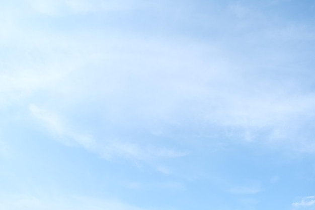 是政治的核心一切政治活动都是围绕着这一核心展开和进行的